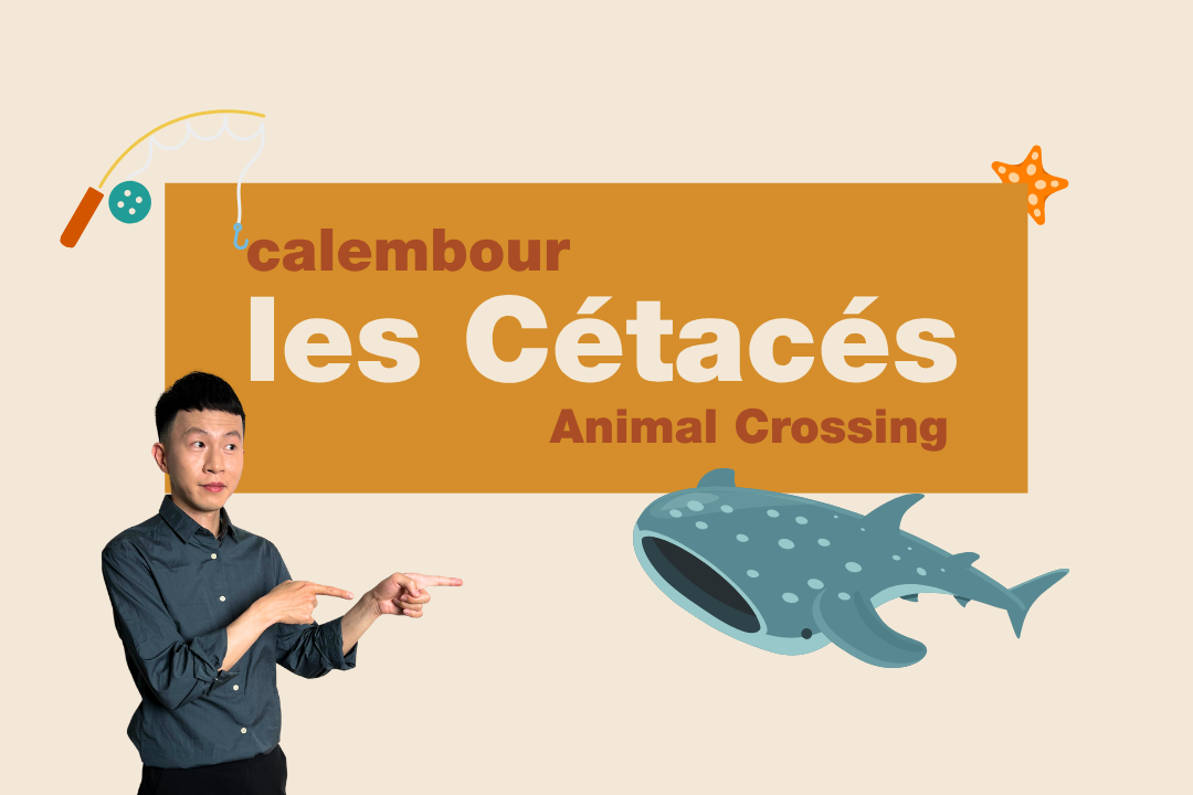 玩電玩學科學法文：海洋哺乳類 les Cétacés